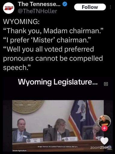 Alt text: A tweet from The Tennessee Holler featuring a video snippet of the Wyoming legislature where a speaker is corrected for using "Madam chairman" and subsequently challenges the board by referencing their vote against compelled speech regarding pronouns.