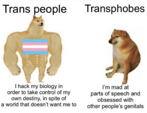 Alt text: A meme comparing "Trans people" to a muscular doge figure and "Transphobes" to a crying, small doge, with text contrasting trans agency with transphobic obsessions.