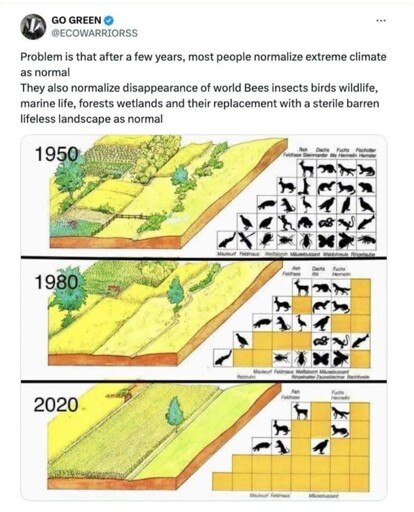 Alt text: A graphic titled "GO GREEN" illustrating the decline of biodiversity from 1950 to 2020 by showing decreasing landscape complexity and vanishing animal species in parallel charts.